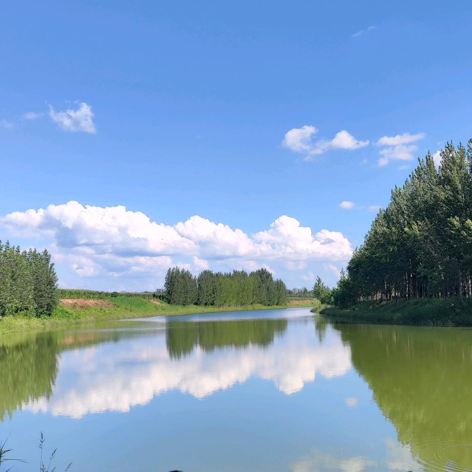 🐛破茧成蝶🦋