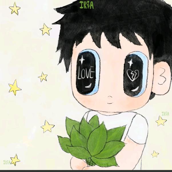 聪明的澳大利亚野生袋鼠