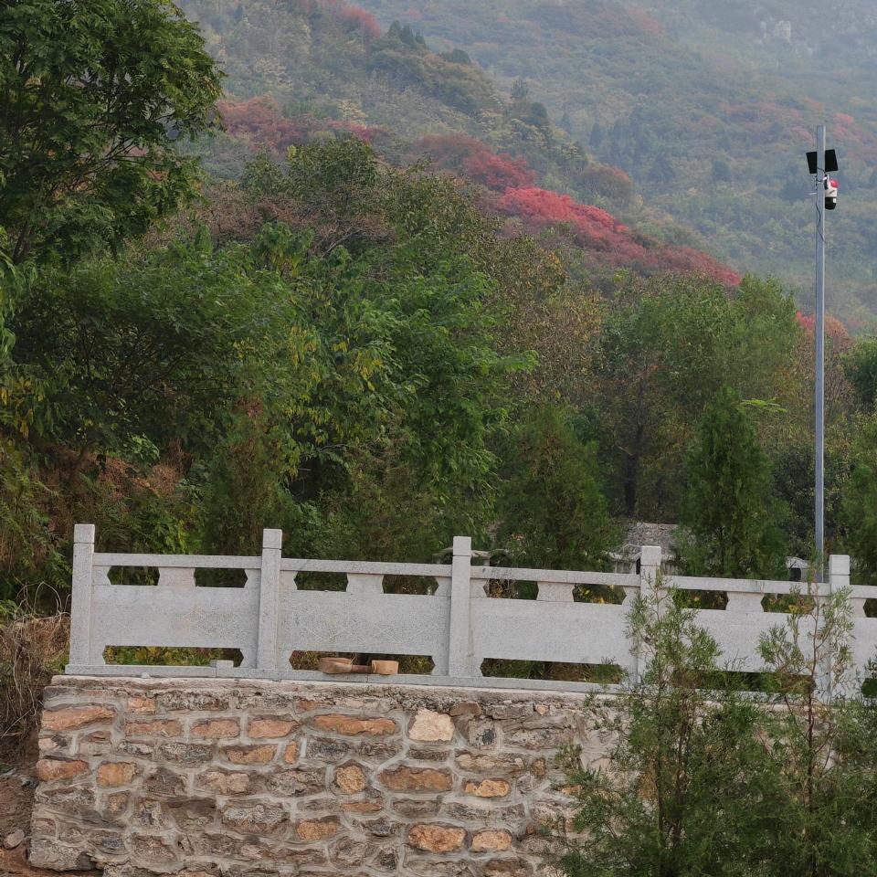 福汇园