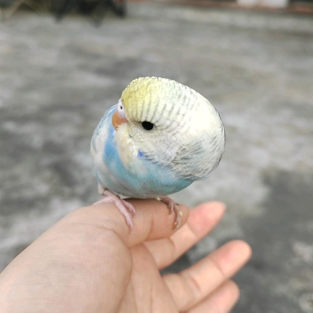 锐品源头工厂