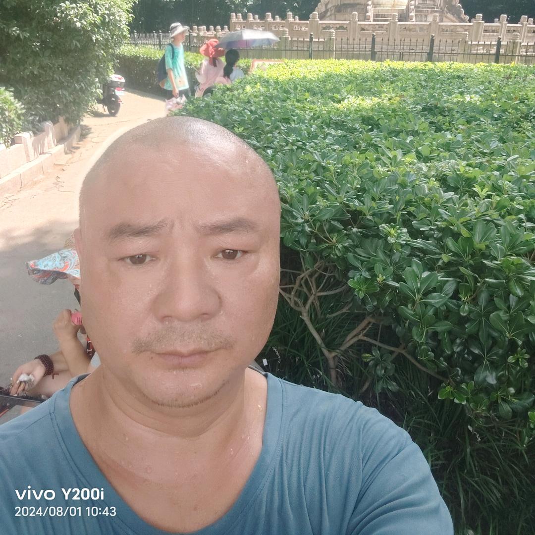 醉了醉了