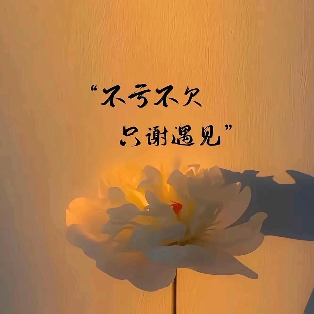 ๓°倾尽年华终是梦ꦿᮁ໊এ᭄゛