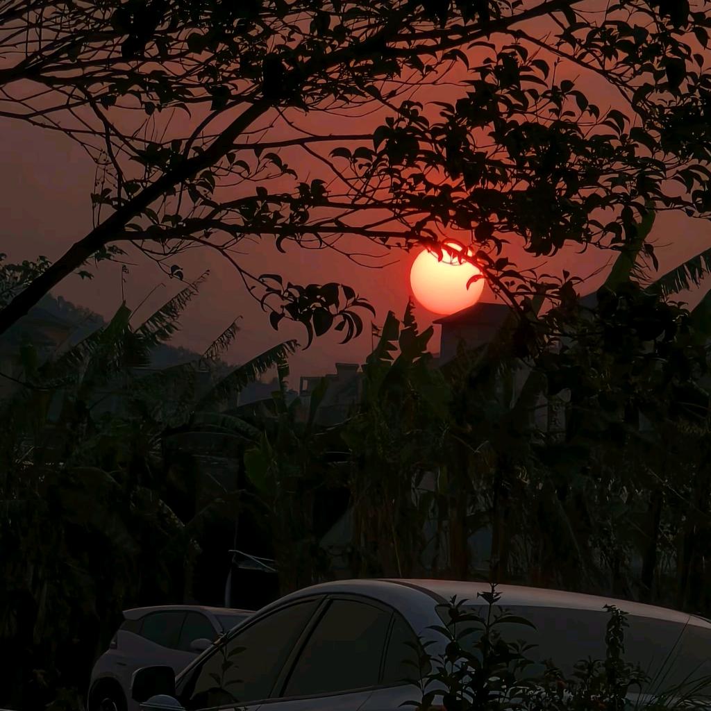 Z山高路远 请去拥抱自己的星辰大海