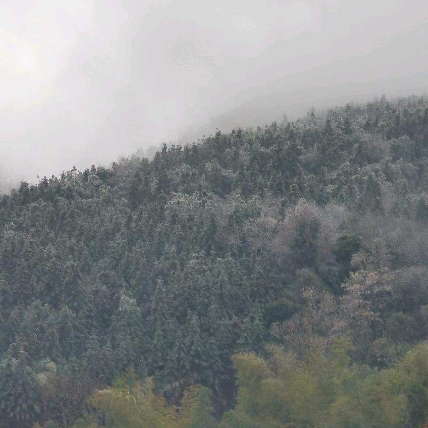 那抹、刺眼的阳光╯蓝山