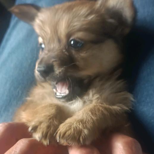 🌈M刻于心（灰灰）