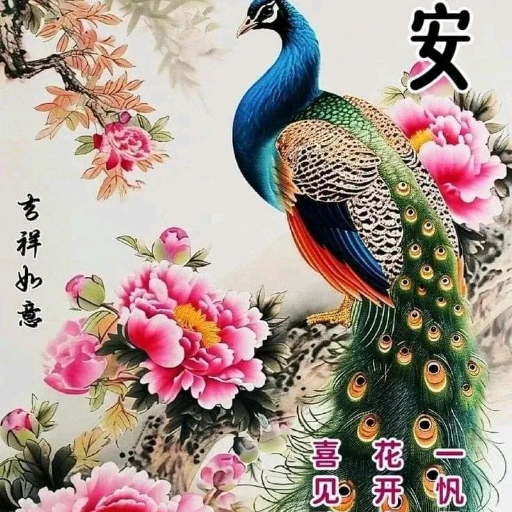 风雨人生