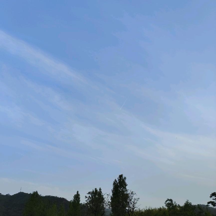 我辈岂是蓬蒿人