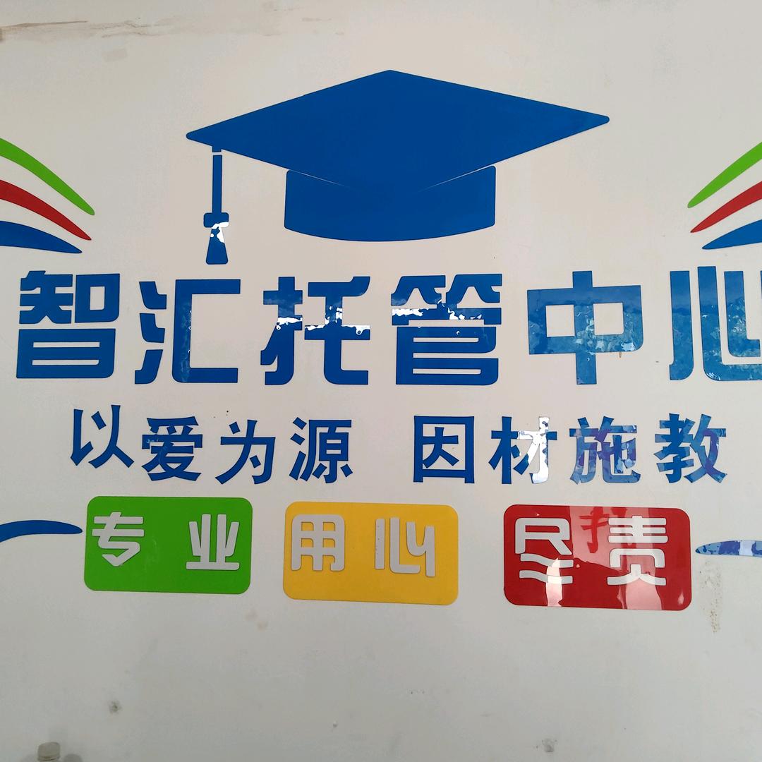 智汇托管小王老师