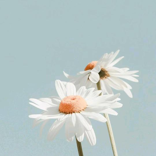 萍萍，一切随缘