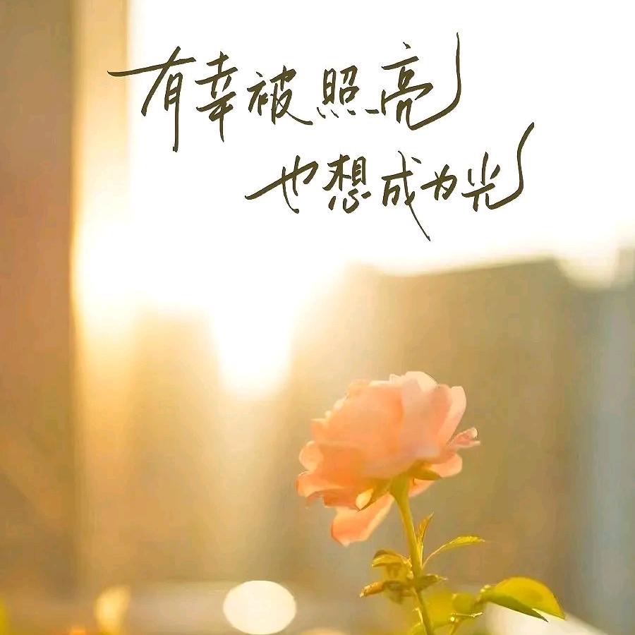 🌹*᭄头像