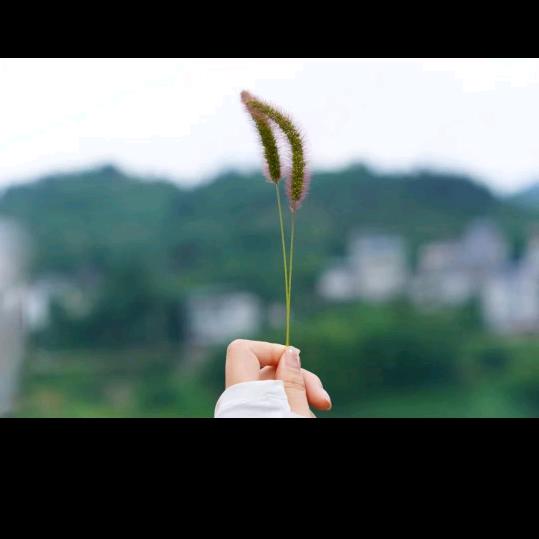 ❤️语❤