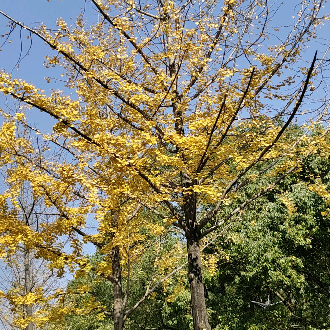 开心你好（8月4号）