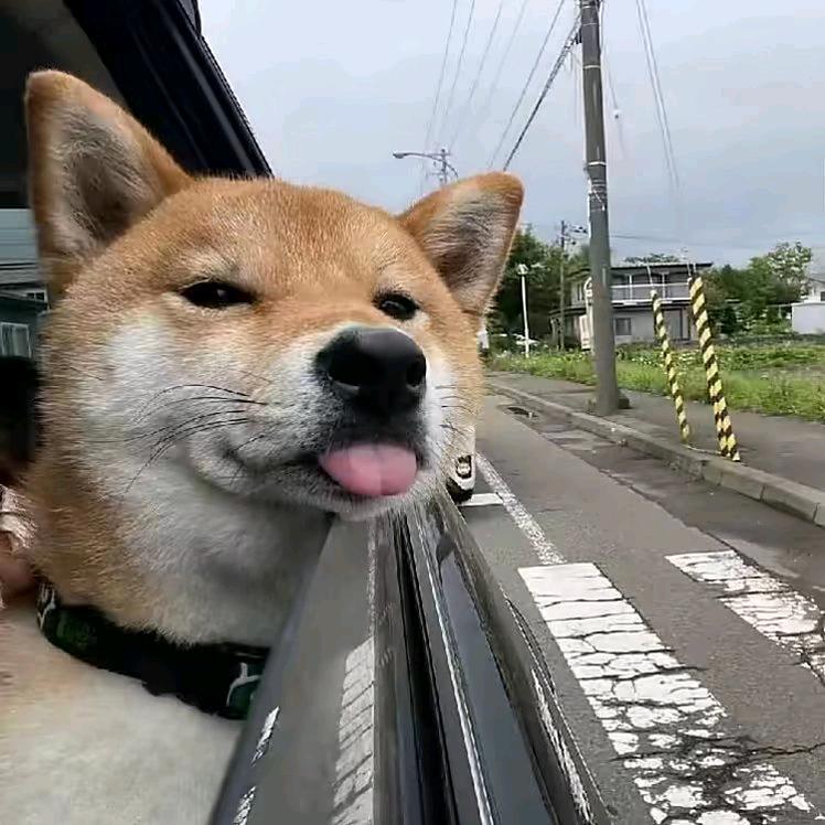钱逗💰
