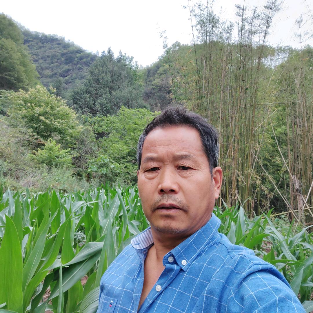 四川一舟《晚上7点30》首播