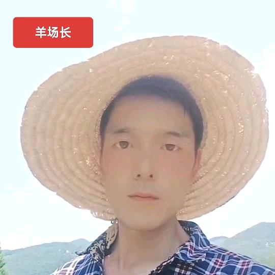 羊厂长✔文‖