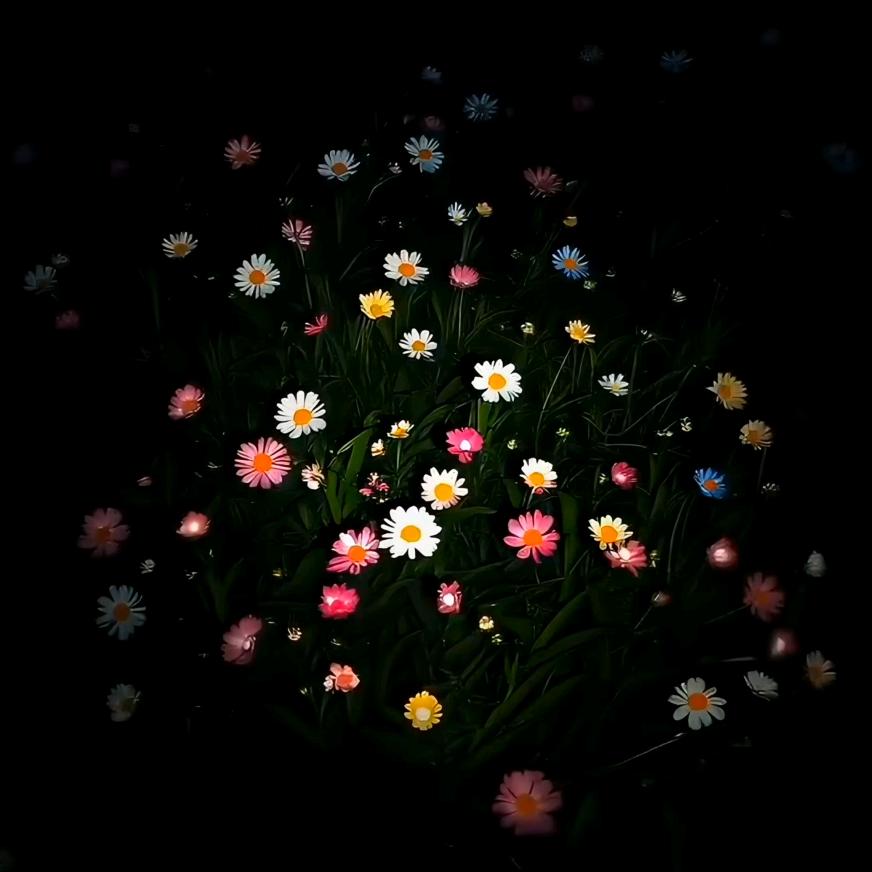 想要多点好运气☁️