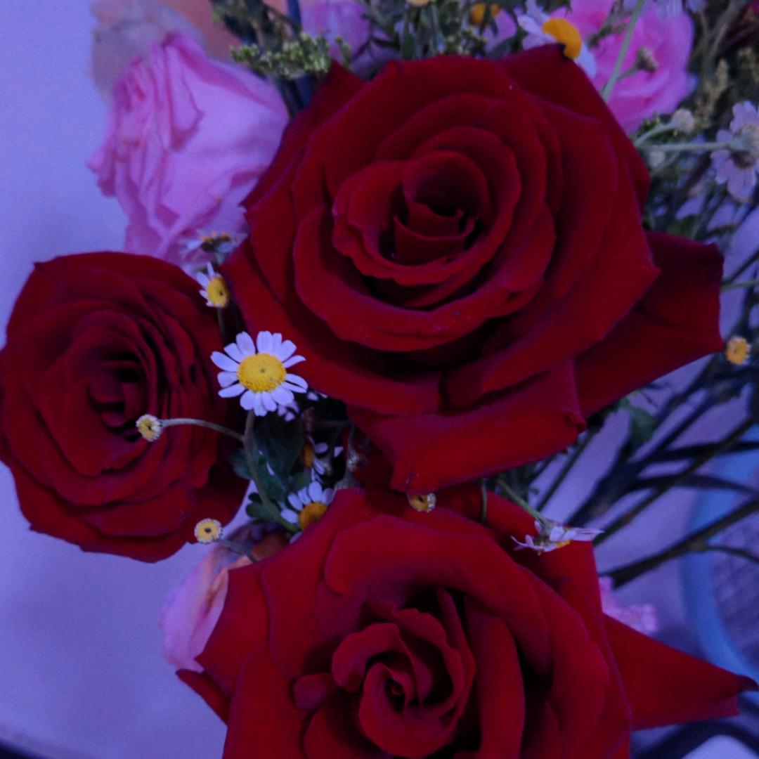 🌹🍁无忧无虑挺好🍁🌷