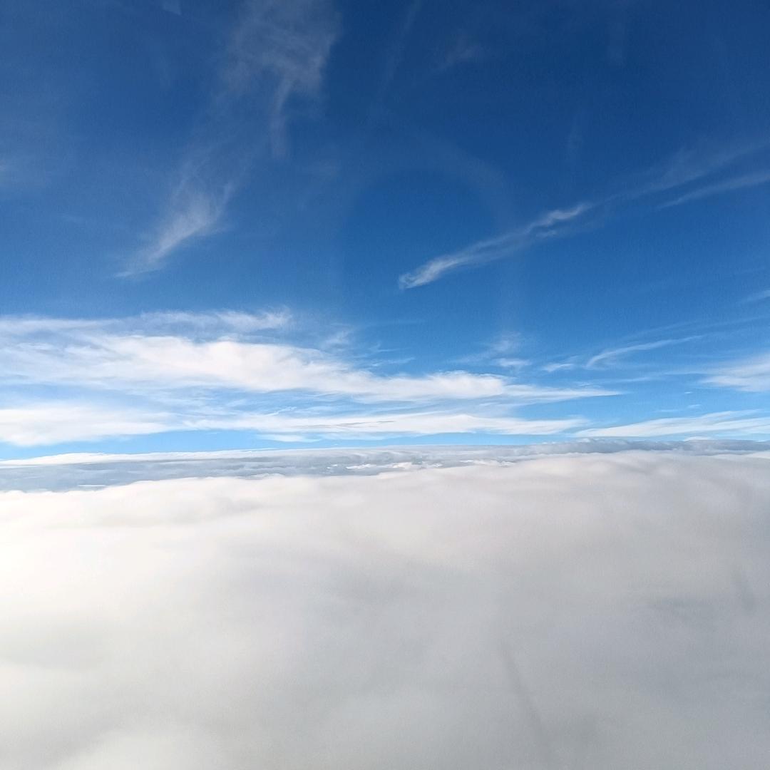 小马马