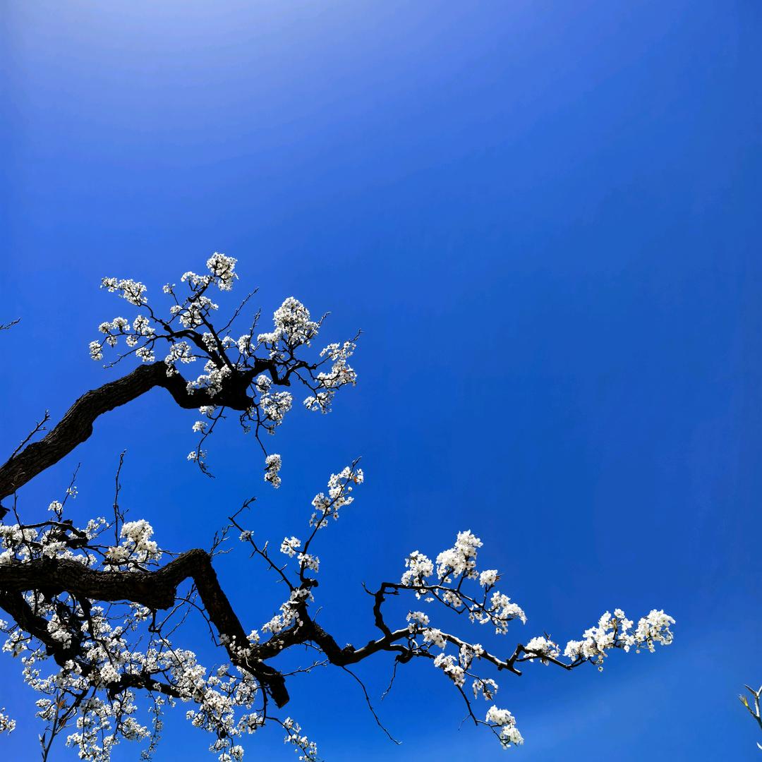 雲天