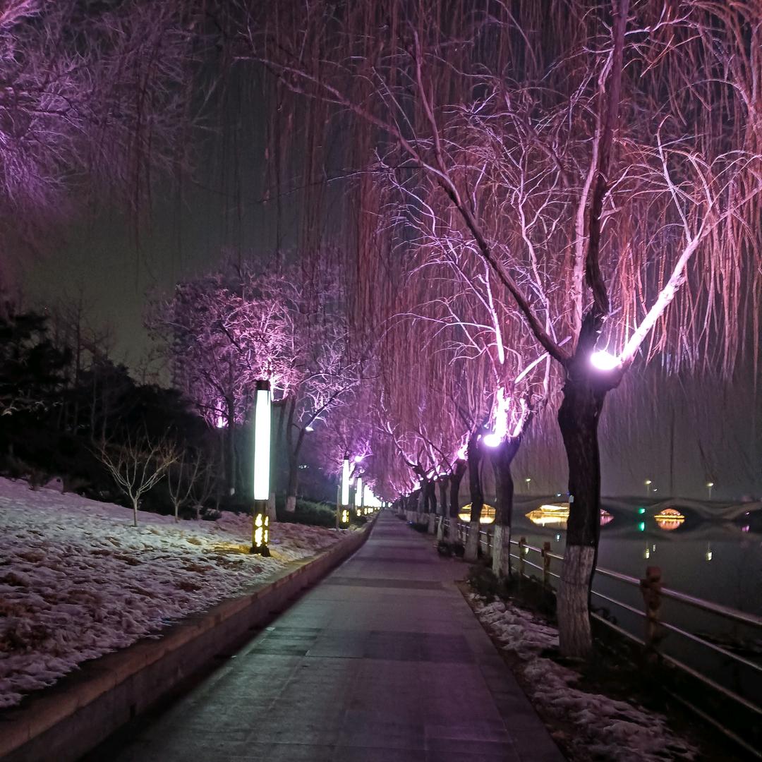 挽风( ﹡ˆoˆ﹡ )