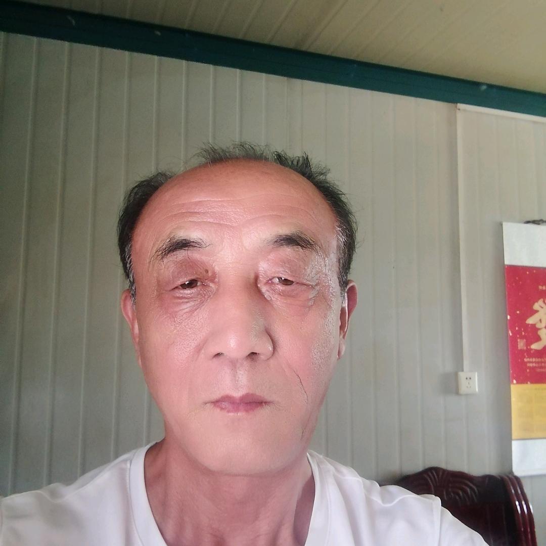 自由飞翔