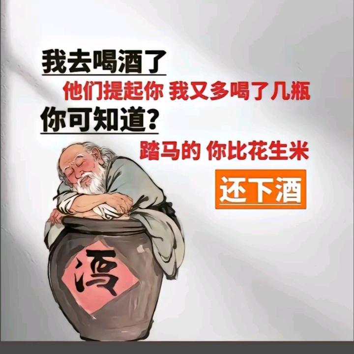 落花无情