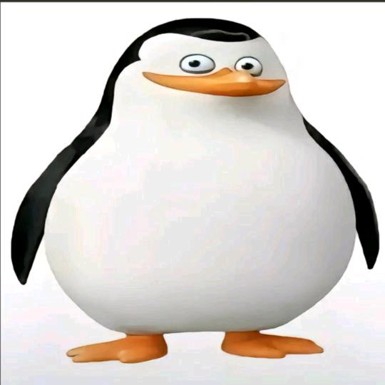 企鹅