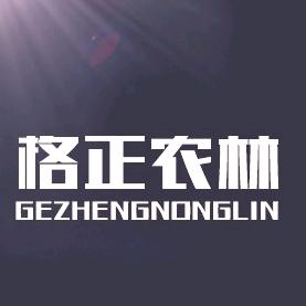 行者361°
