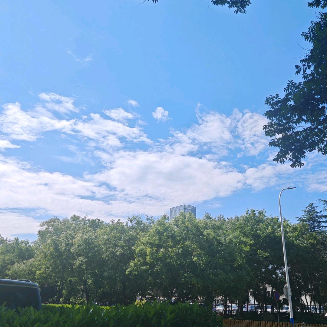 不知道起啥名了