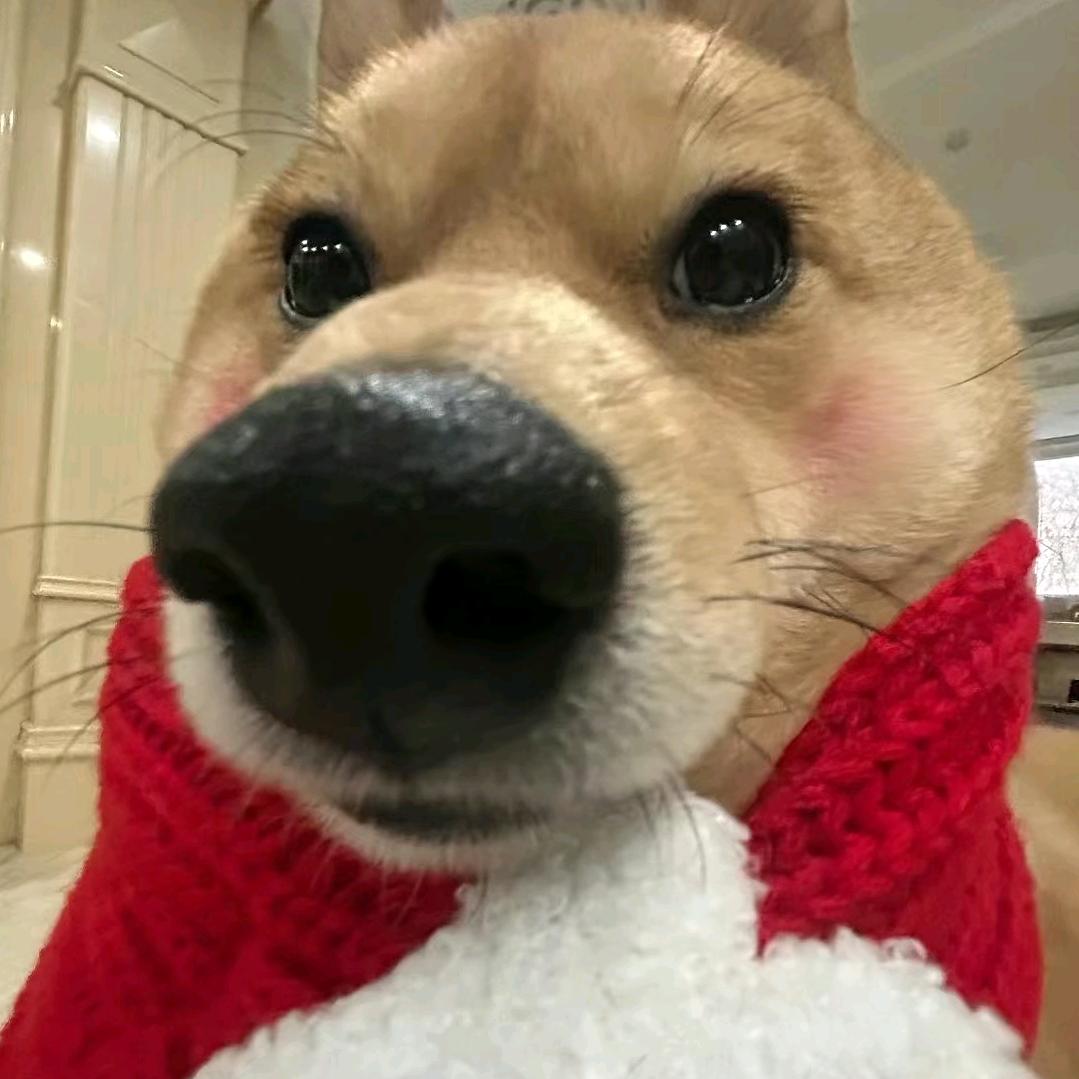 重生之屌丝在抖音