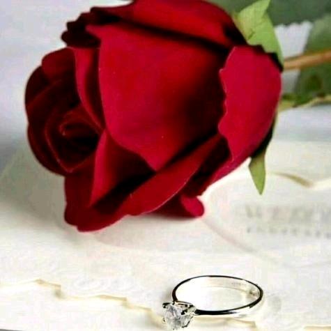 暖❤心