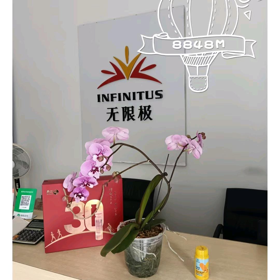 开心快乐美一天