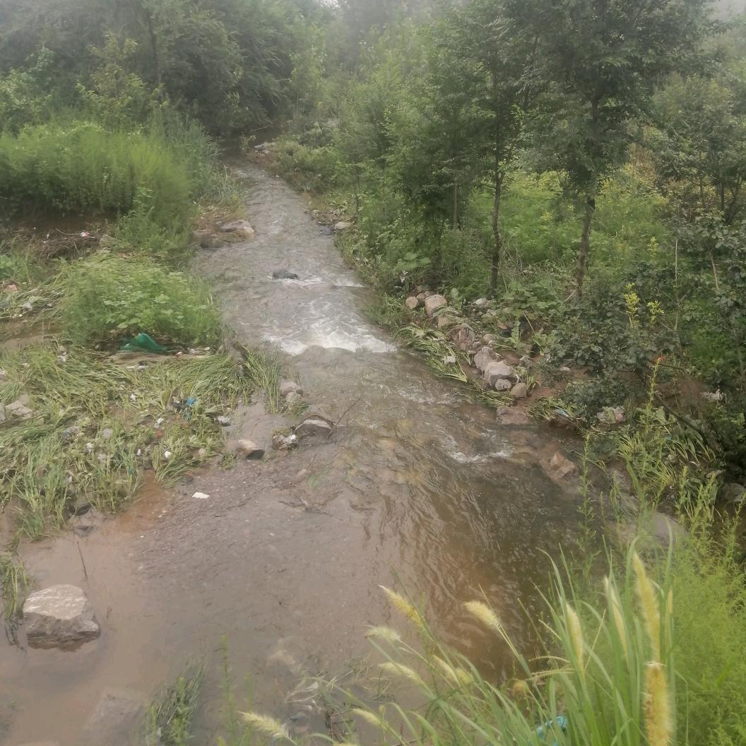 程译萱心灵港湾