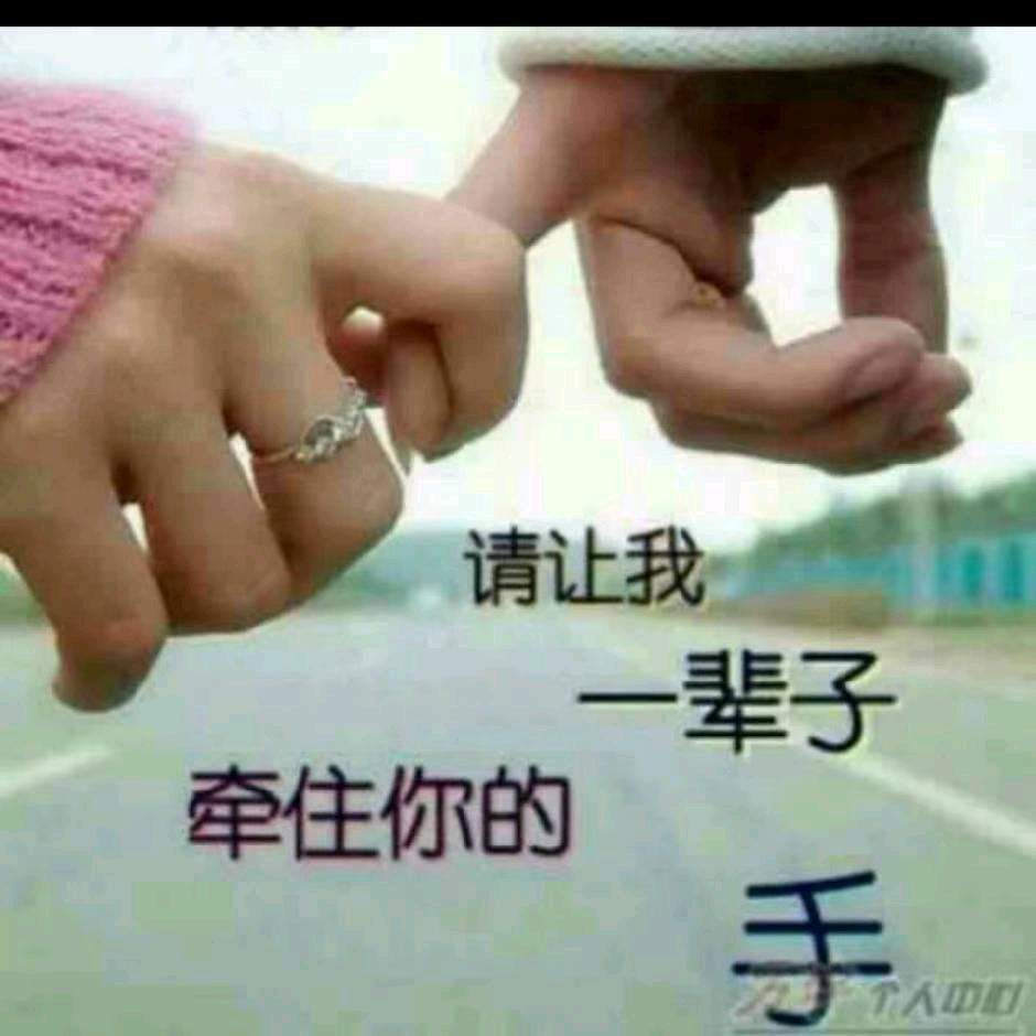 单身🚌🚌，在厦门一辈子开公交车