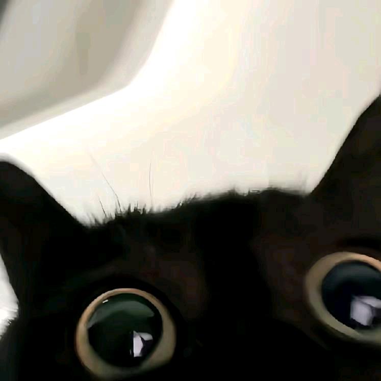 干啥啊老铁下雪了知道不