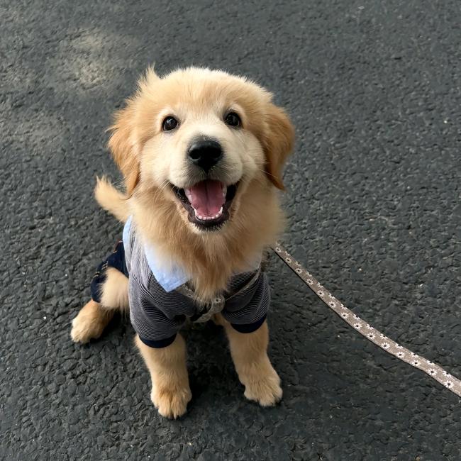 李华