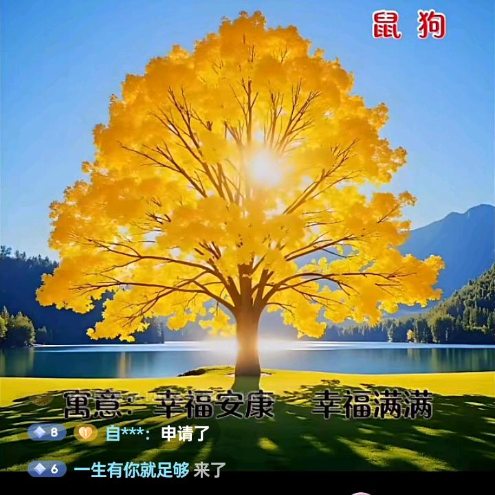 一生有你就足够