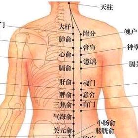 正骨康付（带徒）