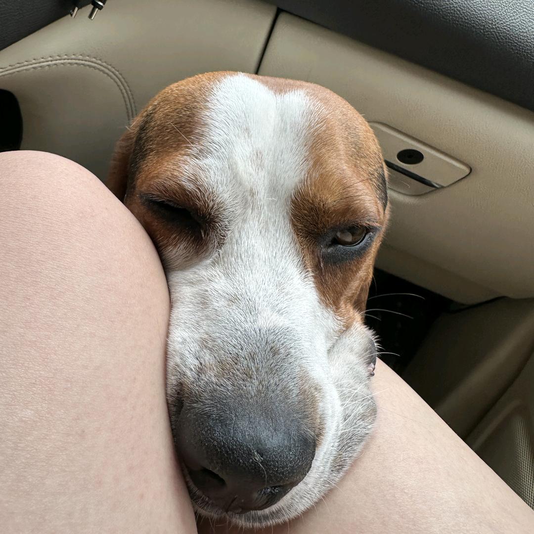 比格大魔王讲故事