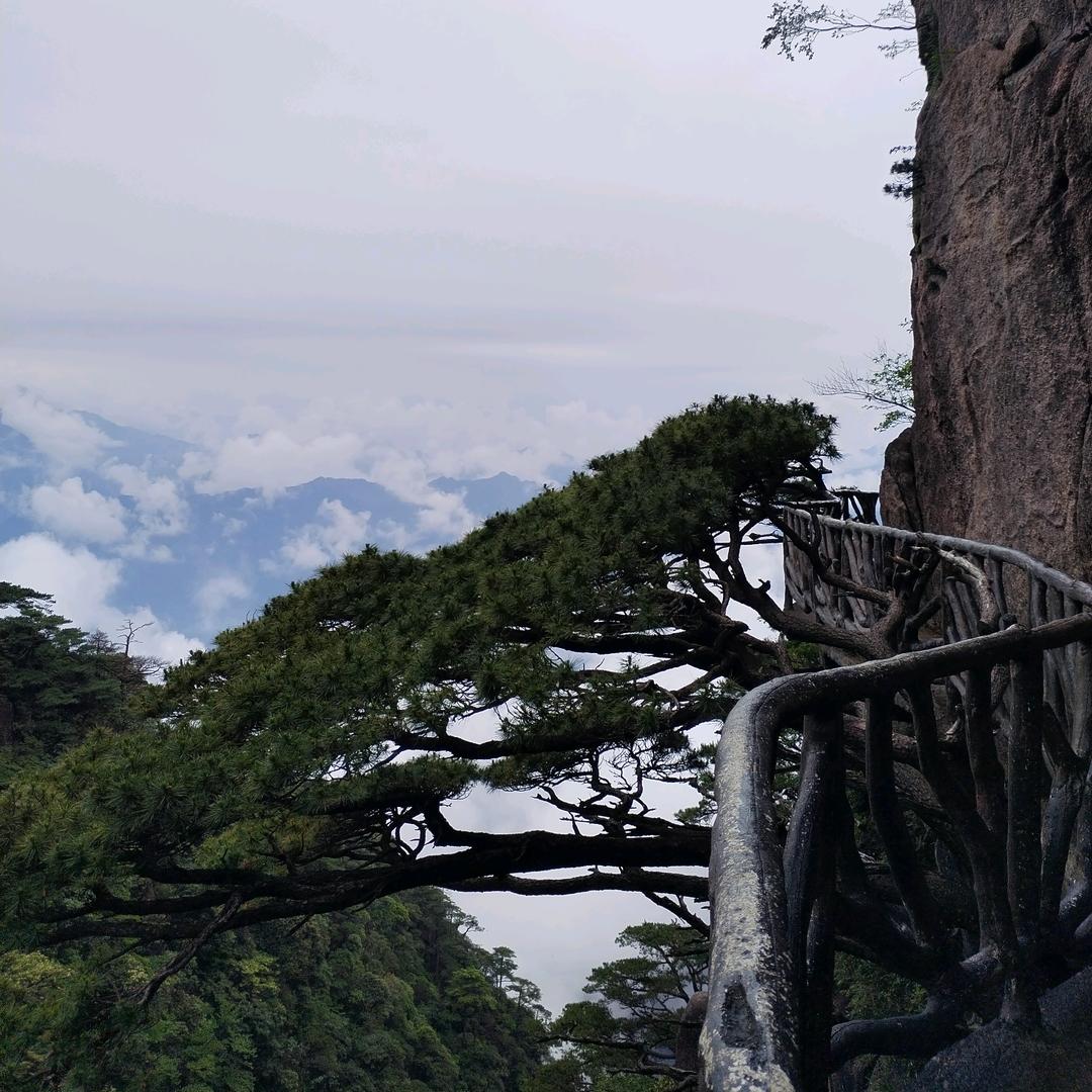 嘻嘻哈哈(爱爬山不爱上班)