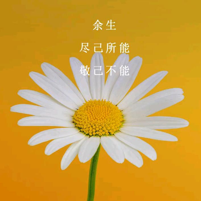 🌈月亮啊