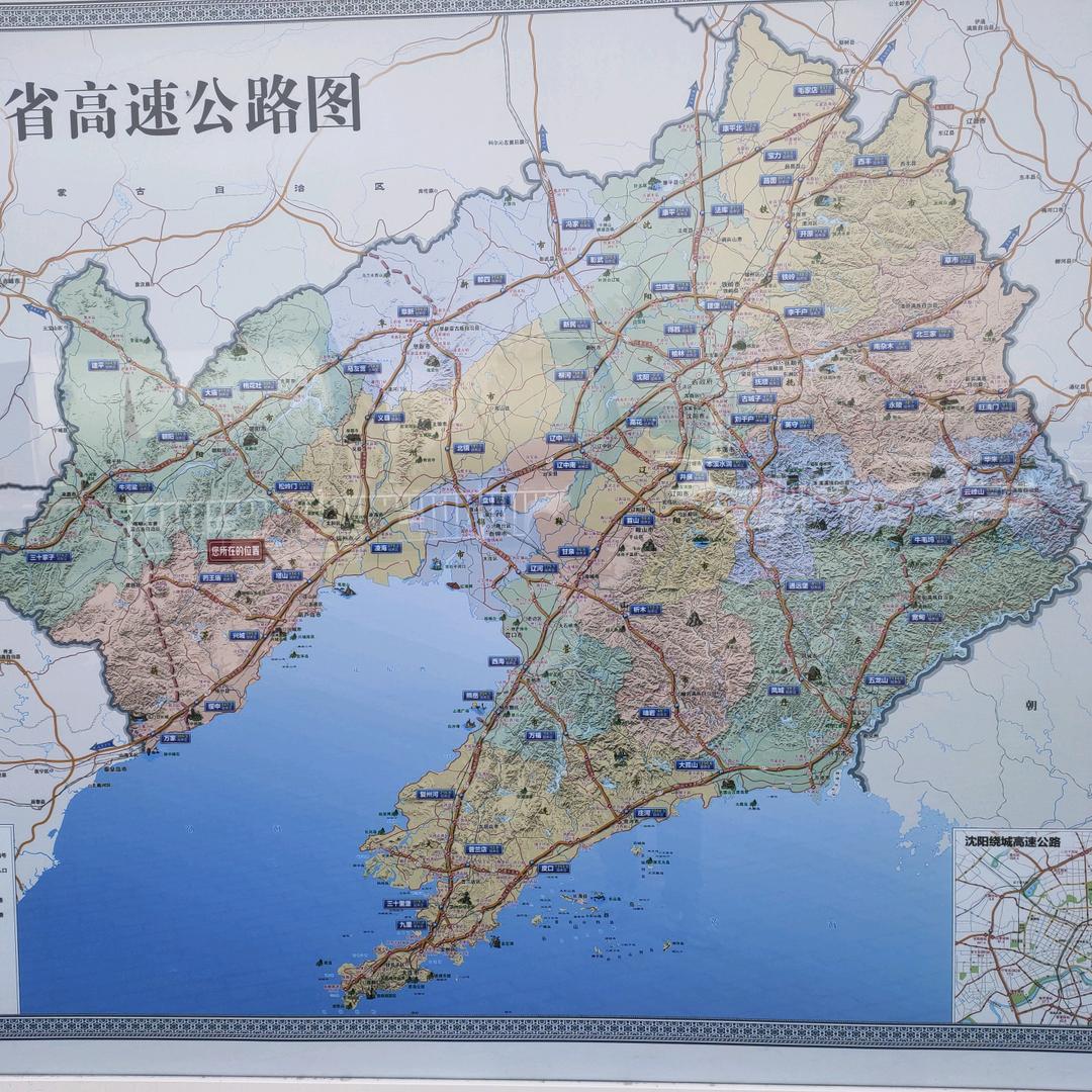 啊涛