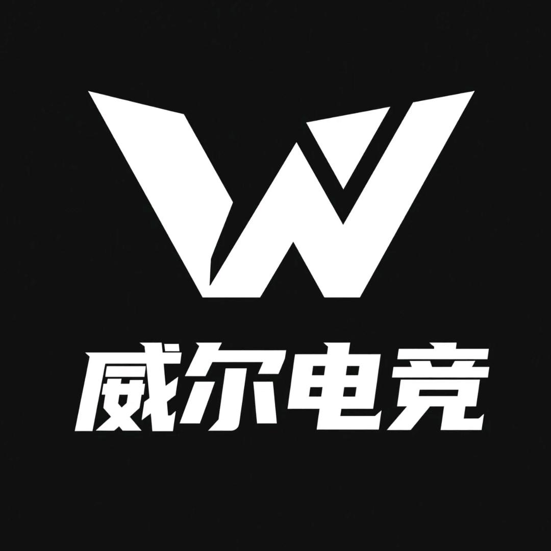 威尔电竞（华新店）