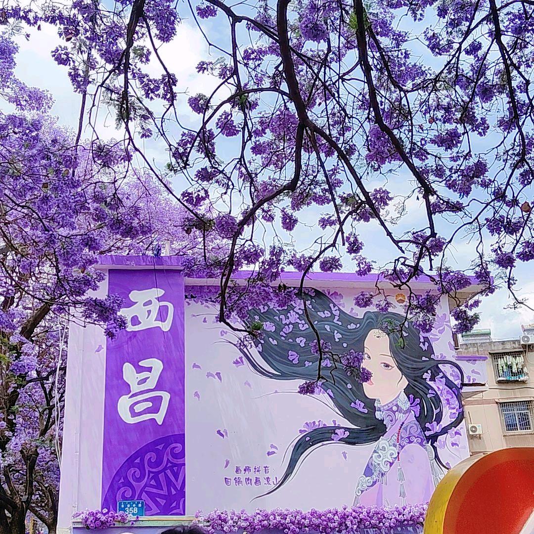 嘻嘻（*/∇＼*）