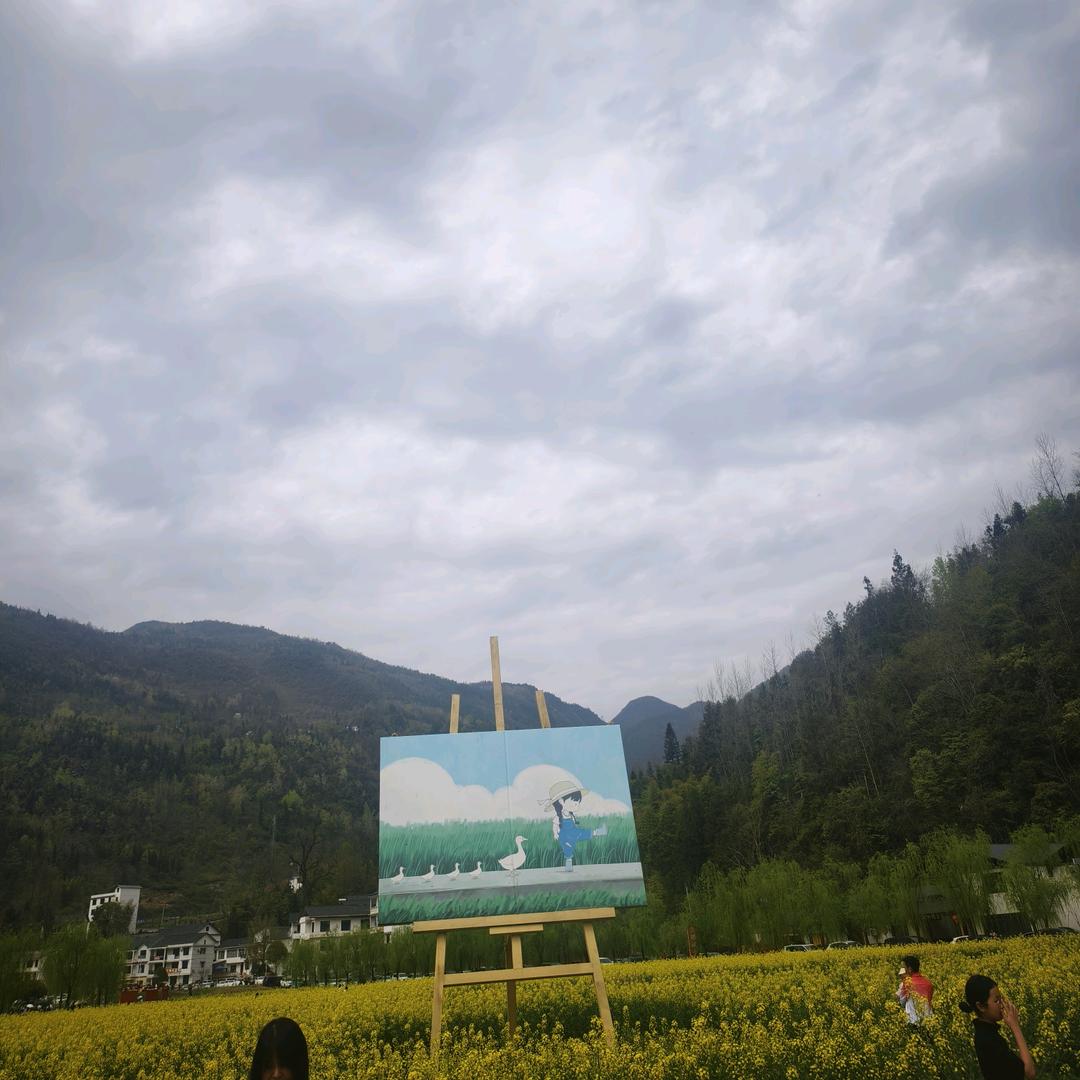 🌈瞌代表