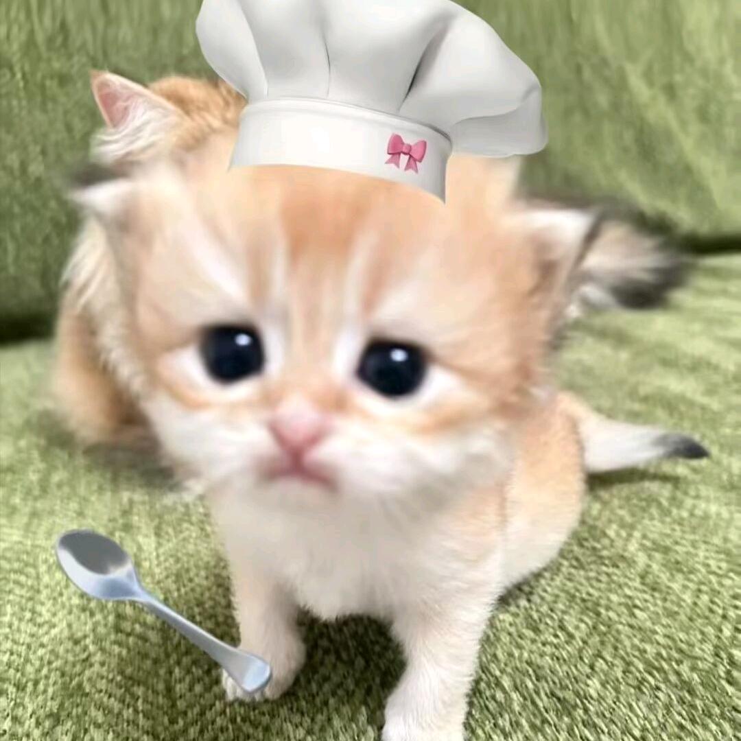 这次真不一样