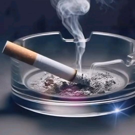 乡村君哥🍎🍎