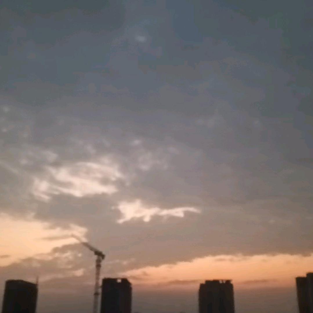疯狂的小橙子