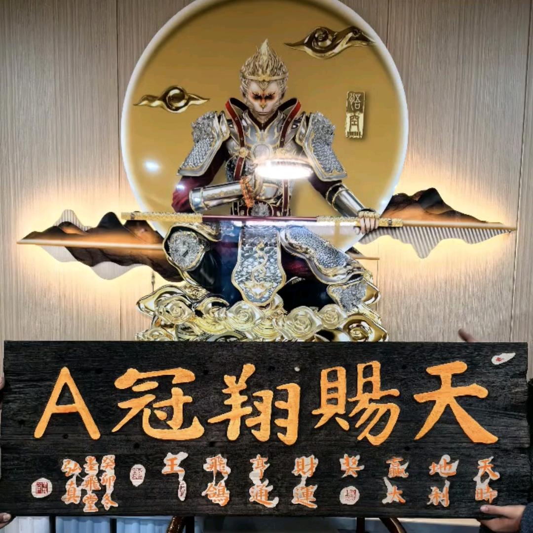 天赐翔冠A职业赛鸽