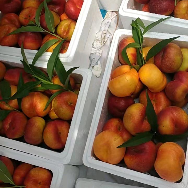 庆云七妹农场绿色种植绿色养殖